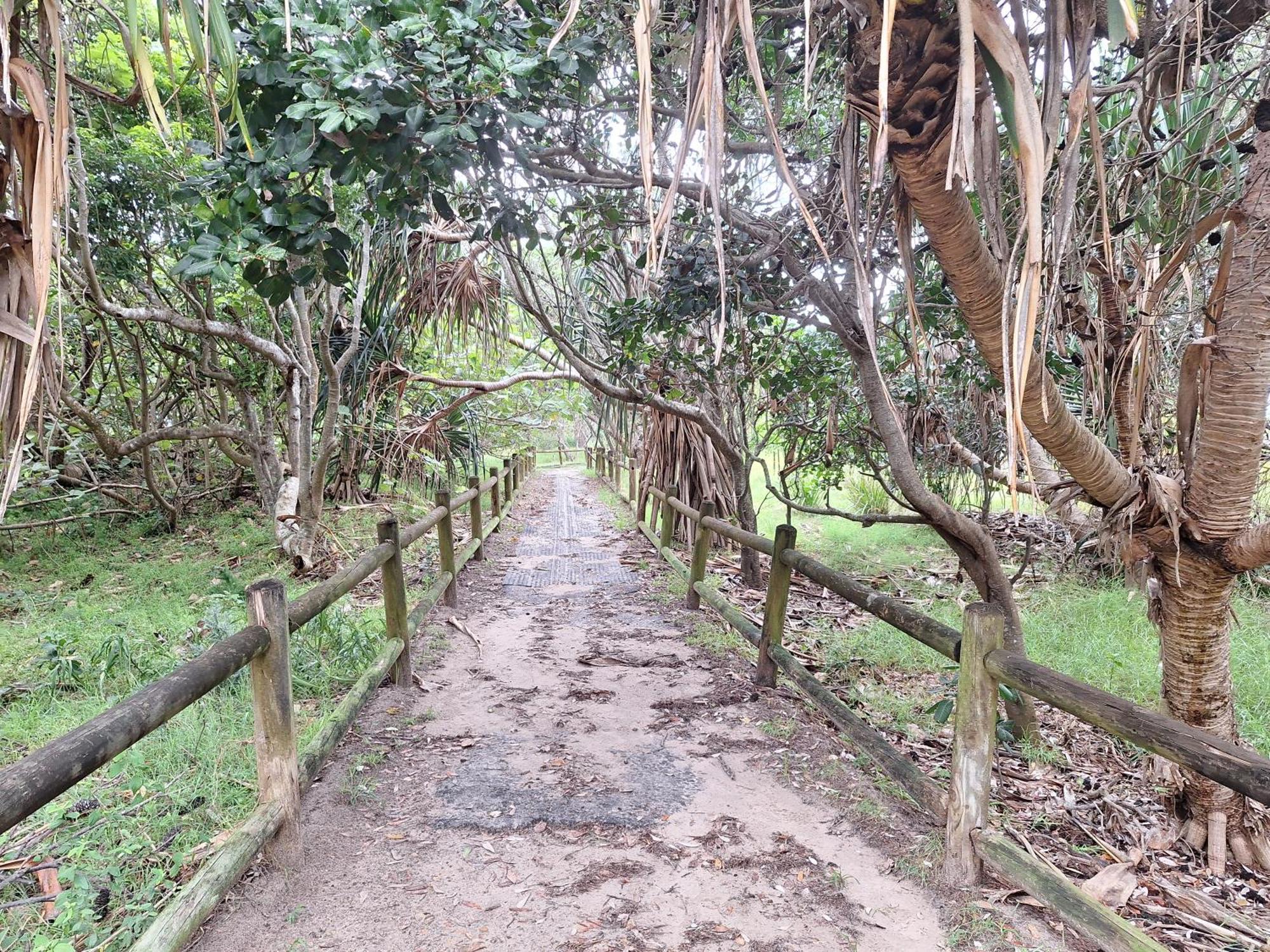 Ballina Beach Nature Resort 외부 사진